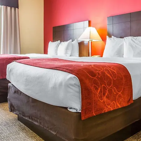 Comfort Suites Rock Hill Manchester Meadows Area-2